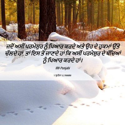 Picture 06 - 1 ਯੂਹੰਨਾ 5:2 PANIRV - ਜਦੋਂ ਅਸੀਂ - Bible Verse Picture