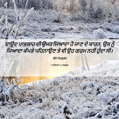 Picture 06 - 1 ਰਾਜਿਆਂ 1:1 PANIRV - ਦਾਊਦ ਪਾਤਸ਼ਾਹ ਦੀ - Bible Verse Picture