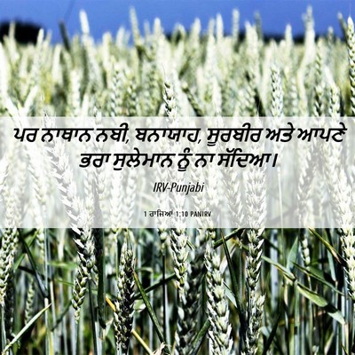 Picture 06 - 1 ਰਾਜਿਆਂ 1:10 PANIRV - ਪਰ ਨਾਥਾਨ ਨਬੀ, - Bible Verse Picture