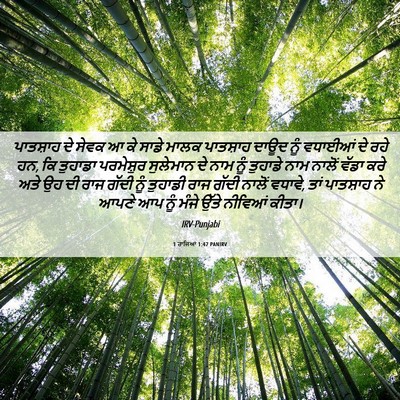 Picture 06 - 1 ਰਾਜਿਆਂ 1:47 PANIRV - ਪਾਤਸ਼ਾਹ ਦੇ ਸੇਵਕ ਆ - Bible Verse Picture