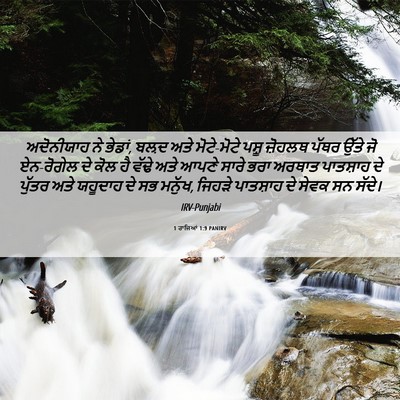 Picture 06 - 1 ਰਾਜਿਆਂ 1:9 PANIRV - ਅਦੋਨੀਯਾਹ ਨੇ ਭੇਡਾਂ, - Bible Verse Picture
