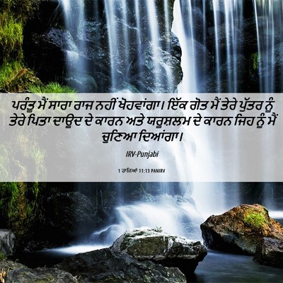 Picture 06 - 1 ਰਾਜਿਆਂ 11:13 PANIRV - ਪਰੰਤੂ ਮੈਂ ਸਾਰਾ ਰਾਜ - Bible Verse Picture
