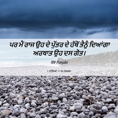 Picture 06 - 1 ਰਾਜਿਆਂ 11:35 PANIRV - ਪਰ ਮੈਂ ਰਾਜ ਉਹ ਦੇ - Bible Verse Picture
