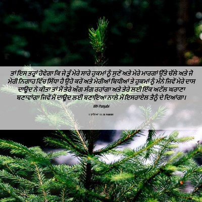 Picture 06 - 1 ਰਾਜਿਆਂ 11:38 PANIRV - ਤਾਂ ਇਸ ਤਰ੍ਹਾਂ - Bible Verse Picture