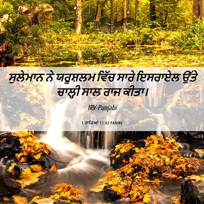 Picture 06 - 1 ਰਾਜਿਆਂ 11:42 PANIRV - ਸੁਲੇਮਾਨ ਨੇ - Bible Verse Picture