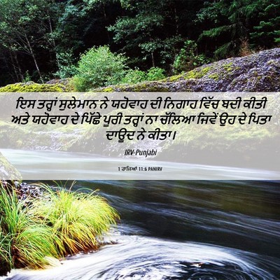 Picture 06 - 1 ਰਾਜਿਆਂ 11:6 PANIRV - ਇਸ ਤਰ੍ਹਾਂ ਸੁਲੇਮਾਨ - Bible Verse Picture