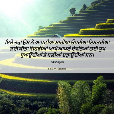 Picture 06 - 1 ਰਾਜਿਆਂ 11:8 PANIRV - ਇਸੇ ਤਰ੍ਹਾਂ ਉਸ ਨੇ - Bible Verse Picture