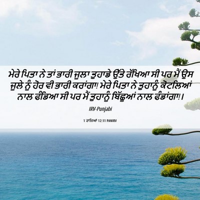 Picture 06 - 1 ਰਾਜਿਆਂ 12:11 PANIRV - ਮੇਰੇ ਪਿਤਾ ਨੇ ਤਾਂ - Bible Verse Picture
