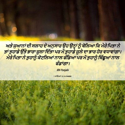 Picture 06 - 1 ਰਾਜਿਆਂ 12:14 PANIRV - ਅਤੇ ਜੁਆਨਾਂ ਦੀ ਸਲਾਹ - Bible Verse Picture
