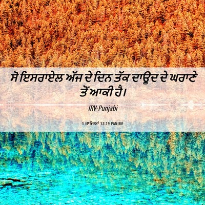 Picture 06 - 1 ਰਾਜਿਆਂ 12:19 PANIRV - ਸੋ ਇਸਰਾਏਲ ਅੱਜ ਦੇ - Bible Verse Picture