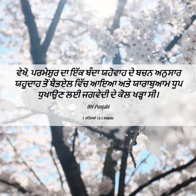 Picture 06 - 1 ਰਾਜਿਆਂ 13:1 PANIRV - ਵੇਖੋ, ਪਰਮੇਸ਼ੁਰ ਦਾ - Bible Verse Picture