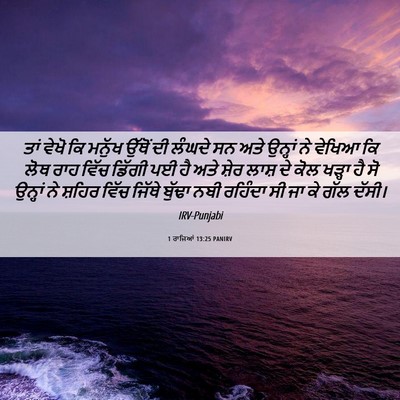 Picture 06 - 1 ਰਾਜਿਆਂ 13:25 PANIRV - ਤਾਂ ਵੇਖੋ ਕਿ ਮਨੁੱਖ - Bible Verse Picture