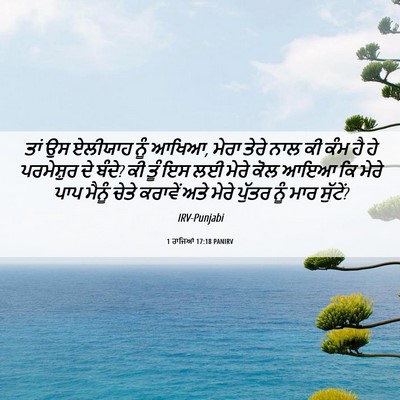 Picture 06 - 1 ਰਾਜਿਆਂ 17:18 PANIRV - ਤਾਂ ਉਸ ਏਲੀਯਾਹ ਨੂੰ - Bible Verse Picture