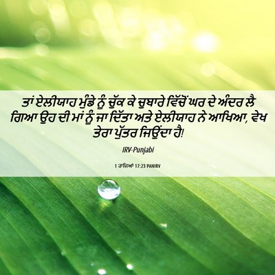 Picture 06 - 1 ਰਾਜਿਆਂ 17:23 PANIRV - ਤਾਂ ਏਲੀਯਾਹ ਮੁੰਡੇ - Bible Verse Picture