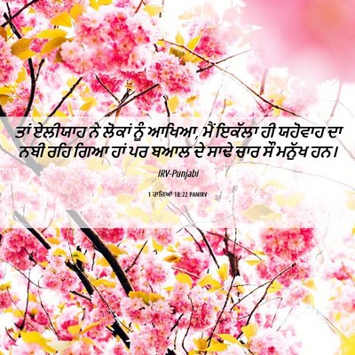Picture 06 - 1 ਰਾਜਿਆਂ 18:22 PANIRV - ਤਾਂ ਏਲੀਯਾਹ ਨੇ - Bible Verse Picture