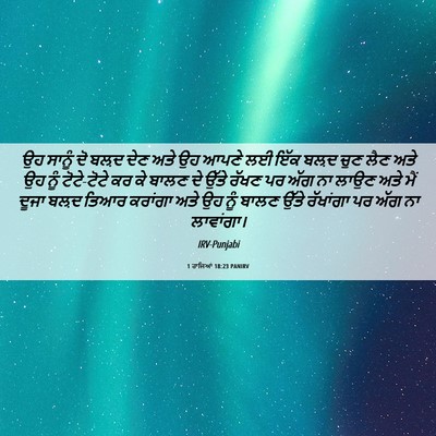 Picture 06 - 1 ਰਾਜਿਆਂ 18:23 PANIRV - ਉਹ ਸਾਨੂੰ ਦੋ ਬਲ਼ਦ - Bible Verse Picture