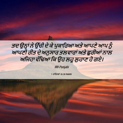 Picture 06 - 1 ਰਾਜਿਆਂ 18:28 PANIRV - ਤਦ ਉਨ੍ਹਾਂ ਨੇ ਉੱਚੀ - Bible Verse Picture