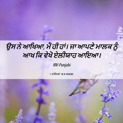 Picture 06 - 1 ਰਾਜਿਆਂ 18:8 PANIRV - ਉਸ ਨੇ ਆਖਿਆ, ਮੈਂ ਹੀ - Bible Verse Picture