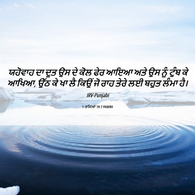 Picture 06 - 1 ਰਾਜਿਆਂ 19:7 PANIRV - ਯਹੋਵਾਹ ਦਾ ਦੂਤ ਉਸ ਦੇ - Bible Verse Picture