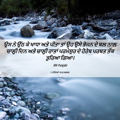 Picture 06 - 1 ਰਾਜਿਆਂ 19:8 PANIRV - ਉਸ ਨੇ ਉੱਠ ਕੇ ਖਾਧਾ - Bible Verse Picture
