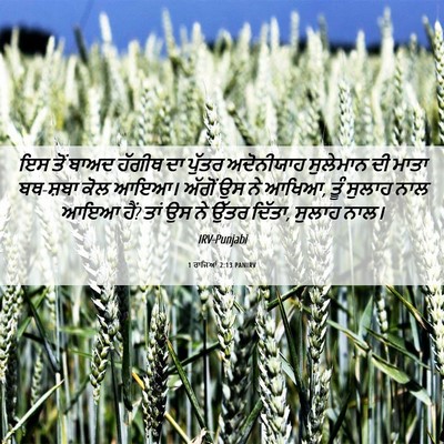 Picture 06 - 1 ਰਾਜਿਆਂ 2:13 PANIRV - ਇਸ ਤੋਂ ਬਾਅਦ ਹੱਗੀਥ - Bible Verse Picture