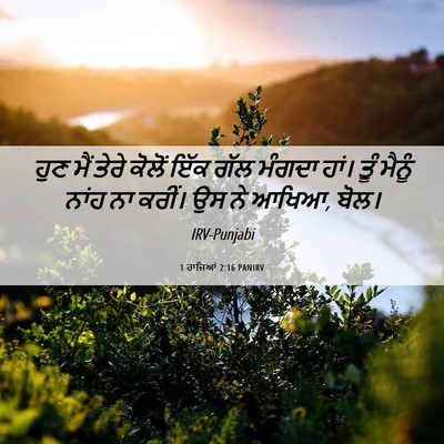 Picture 06 - 1 ਰਾਜਿਆਂ 2:16 PANIRV - ਹੁਣ ਮੈਂ ਤੇਰੇ ਕੋਲੋਂ - Bible Verse Picture