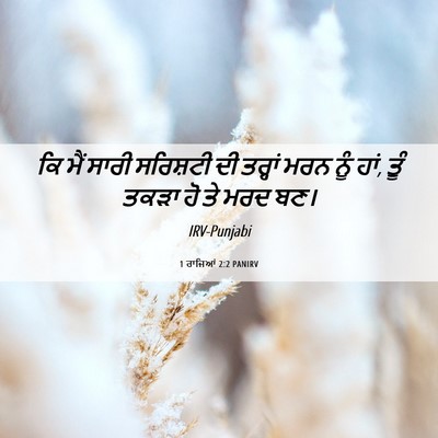 Picture 06 - 1 ਰਾਜਿਆਂ 2:2 PANIRV - ਕਿ ਮੈਂ ਸਾਰੀ - Bible Verse Picture