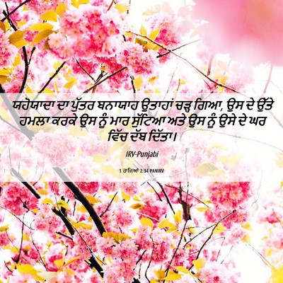Picture 06 - 1 ਰਾਜਿਆਂ 2:34 PANIRV - ਯਹੋਯਾਦਾ ਦਾ ਪੁੱਤਰ - Bible Verse Picture