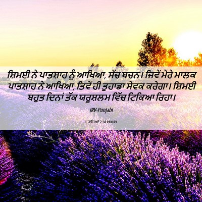 Picture 06 - 1 ਰਾਜਿਆਂ 2:38 PANIRV - ਸ਼ਿਮਈ ਨੇ ਪਾਤਸ਼ਾਹ - Bible Verse Picture