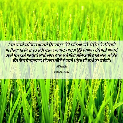 Picture 06 - 1 ਰਾਜਿਆਂ 2:4 PANIRV - ਜਿਸ ਕਰਕੇ ਯਹੋਵਾਹ - Bible Verse Picture