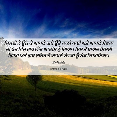 Picture 06 - 1 ਰਾਜਿਆਂ 2:40 PANIRV - ਸ਼ਿਮਈ ਨੇ ਉੱਠ ਕੇ - Bible Verse Picture