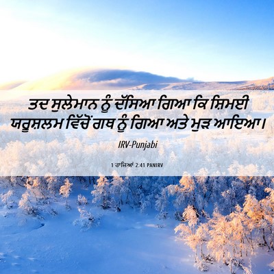 Picture 06 - 1 ਰਾਜਿਆਂ 2:41 PANIRV - ਤਦ ਸੁਲੇਮਾਨ ਨੂੰ - Bible Verse Picture