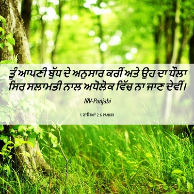Picture 06 - 1 ਰਾਜਿਆਂ 2:6 PANIRV - ਤੂੰ ਆਪਣੀ ਬੁੱਧ ਦੇ - Bible Verse Picture