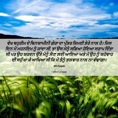 Picture 06 - 1 ਰਾਜਿਆਂ 2:8 PANIRV - ਵੇਖ ਬਹੁਰੀਮ ਦੇ - Bible Verse Picture