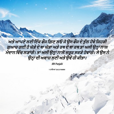 Picture 06 - 1 ਰਾਜਿਆਂ 20:25 PANIRV - ਅਤੇ ਆਪਣੇ ਲਈ ਇੱਕ ਫੌਜ - Bible Verse Picture