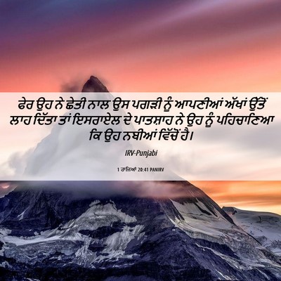 Picture 06 - 1 ਰਾਜਿਆਂ 20:41 PANIRV - ਫੇਰ ਉਹ ਨੇ ਛੇਤੀ ਨਾਲ - Bible Verse Picture