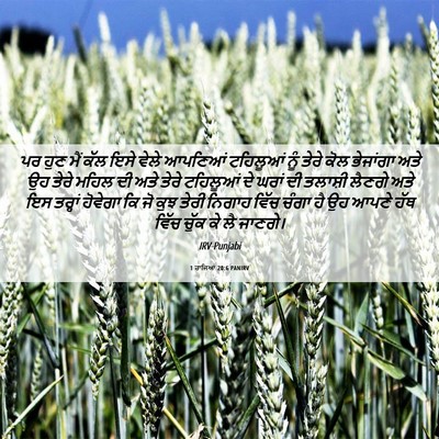 Picture 06 - 1 ਰਾਜਿਆਂ 20:6 PANIRV - ਪਰ ਹੁਣ ਮੈਂ ਕੱਲ ਇਸੇ - Bible Verse Picture