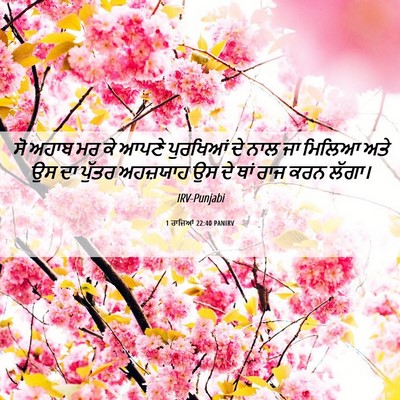 Picture 06 - 1 ਰਾਜਿਆਂ 22:40 PANIRV - ਸੋ ਅਹਾਬ ਮਰ ਕੇ ਆਪਣੇ - Bible Verse Picture