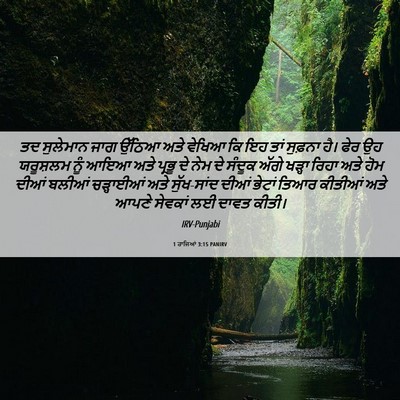 Picture 06 - 1 ਰਾਜਿਆਂ 3:15 PANIRV - ਤਦ ਸੁਲੇਮਾਨ ਜਾਗ - Bible Verse Picture