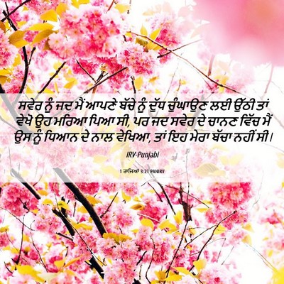 Picture 06 - 1 ਰਾਜਿਆਂ 3:21 PANIRV - ਸਵੇਰ ਨੂੰ ਜਦ ਮੈਂ - Bible Verse Picture