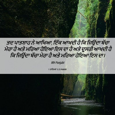 Picture 06 - 1 ਰਾਜਿਆਂ 3:23 PANIRV - ਤਦ ਪਾਤਸ਼ਾਹ ਨੇ ਆਖਿਆ, - Bible Verse Picture