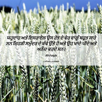 Picture 06 - 1 ਰਾਜਿਆਂ 4:20 PANIRV - ਯਹੂਦਾਹ ਅਤੇ ਇਸਰਾਏਲ - Bible Verse Picture