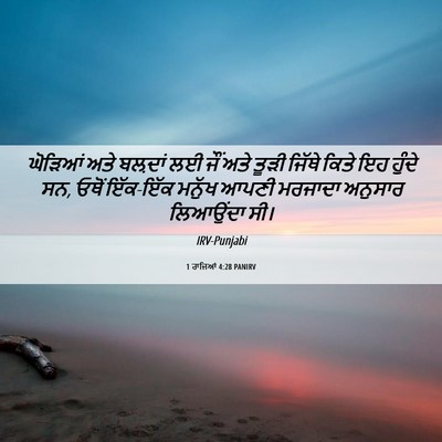 Picture 06 - 1 ਰਾਜਿਆਂ 4:28 PANIRV - ਘੋੜਿਆਂ ਅਤੇ ਬਲ਼ਦਾਂ - Bible Verse Picture