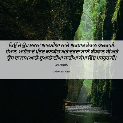 Picture 06 - 1 ਰਾਜਿਆਂ 4:31 PANIRV - ਕਿਉਂ ਜੋ ਉਹ ਸਭਨਾਂ - Bible Verse Picture