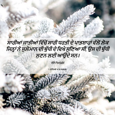 Picture 06 - 1 ਰਾਜਿਆਂ 4:34 PANIRV - ਸਾਰੀਆਂ ਜਾਤੀਆਂ - Bible Verse Picture