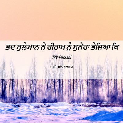Picture 06 - 1 ਰਾਜਿਆਂ 5:2 PANIRV - ਤਦ ਸੁਲੇਮਾਨ ਨੇ - Bible Verse Picture
