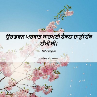 Picture 06 - 1 ਰਾਜਿਆਂ 6:17 PANIRV - ਉਹ ਭਵਨ ਅਰਥਾਤ - Bible Verse Picture
