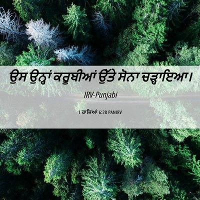 Picture 06 - 1 ਰਾਜਿਆਂ 6:28 PANIRV - ਉਸ ਉਨ੍ਹਾਂ ਕਰੂਬੀਆਂ - Bible Verse Picture