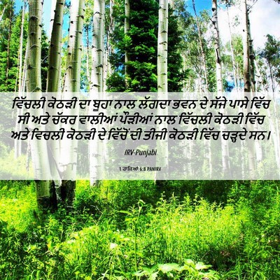 Picture 06 - 1 ਰਾਜਿਆਂ 6:8 PANIRV - ਵਿੱਚਲੀ ਕੋਠੜੀ ਦਾ - Bible Verse Picture