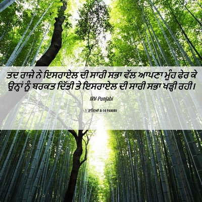 Picture 06 - 1 ਰਾਜਿਆਂ 8:14 PANIRV - ਤਦ ਰਾਜੇ ਨੇ ਇਸਰਾਏਲ - Bible Verse Picture